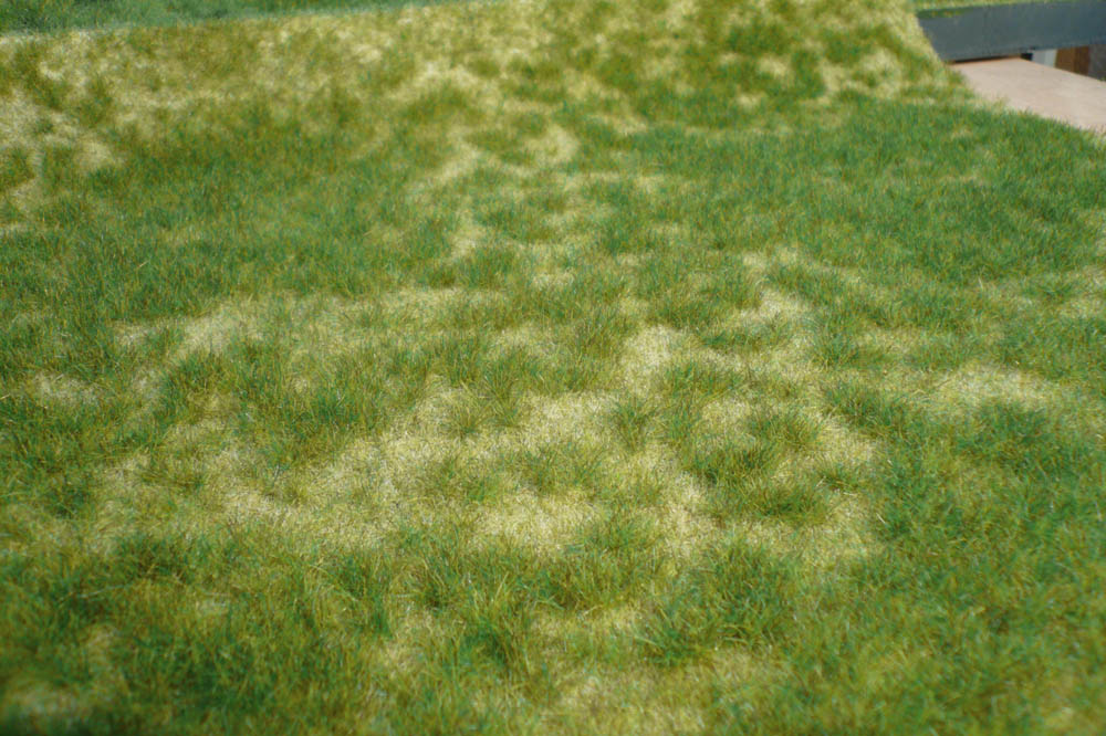 1842 realistic-Wildgras Sommer 45x17 cm