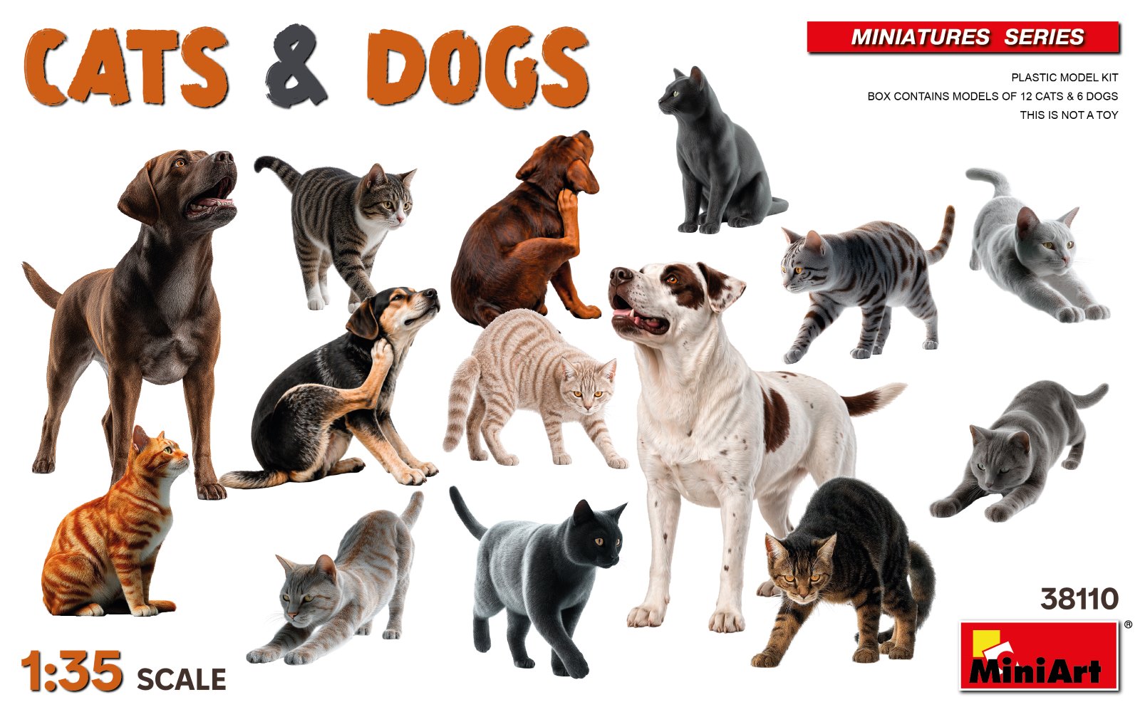 38110 Cats & Dogs - Katzen und Hunde