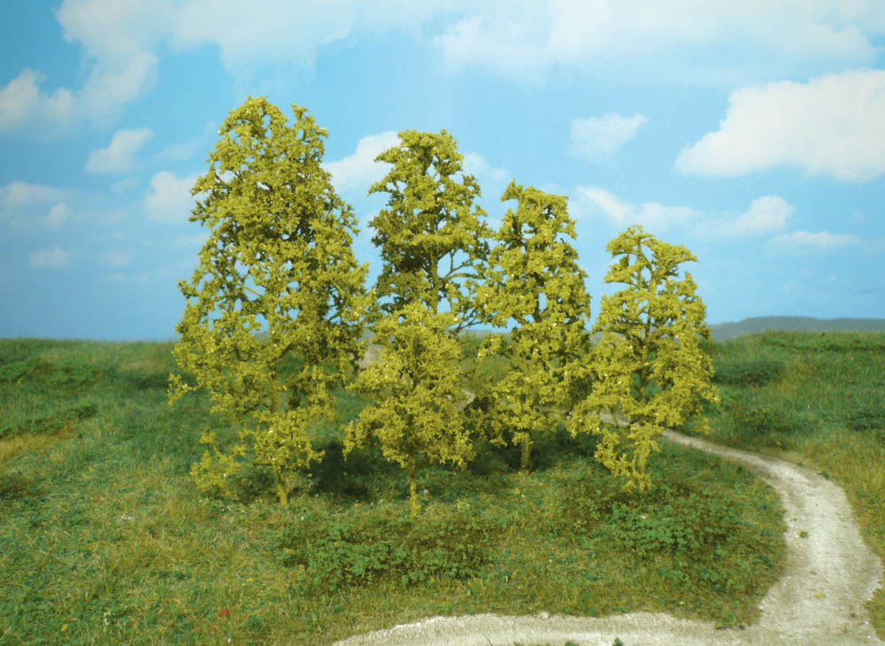 1640 12 Naturbäume hellgrün