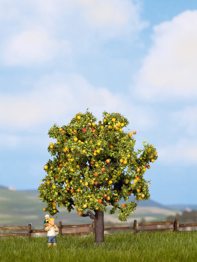 21560 Apfelbaum mit Früchten