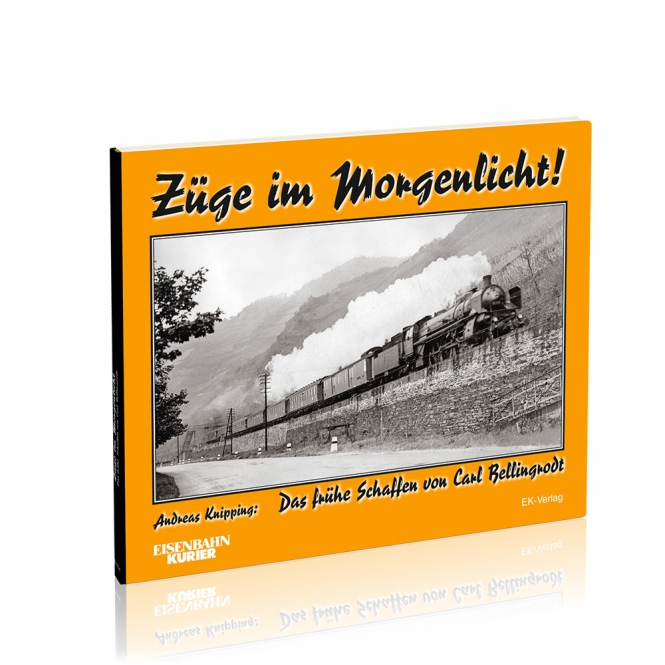 6233 Züge im Morgenlicht