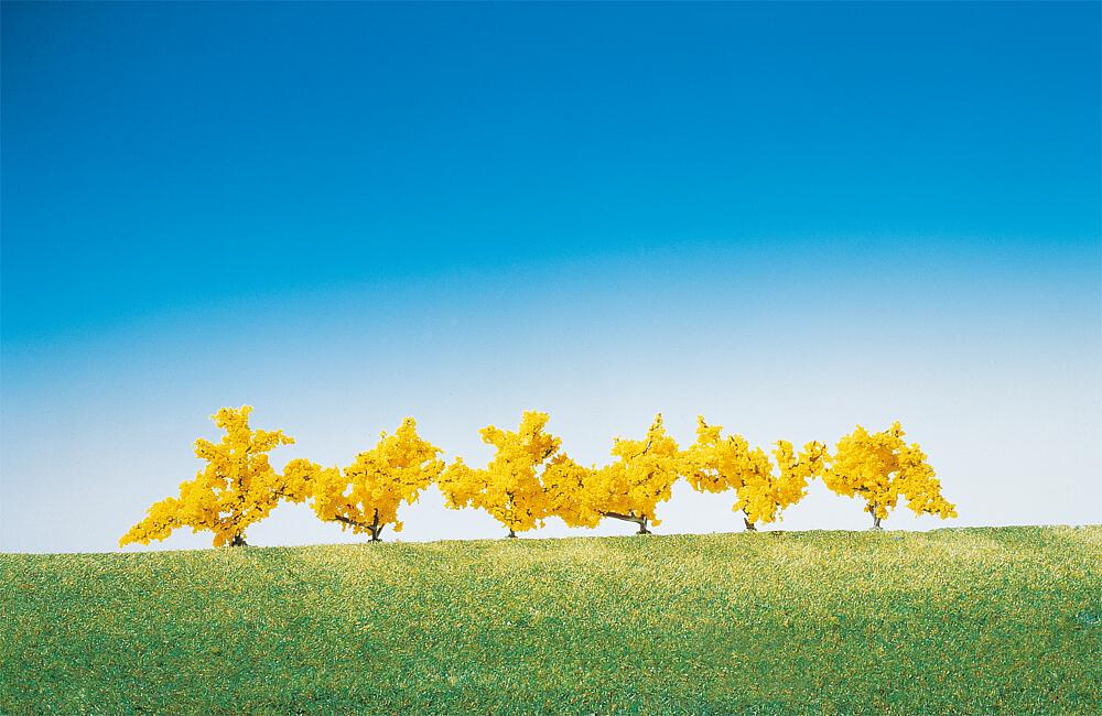 181475 Forsythien gelb blühend, 6 St.