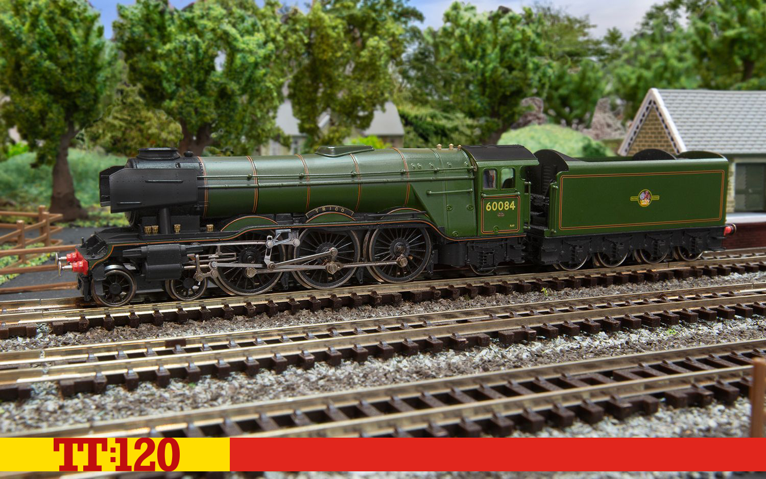 TT3006M BR Dampflok Class A3 4-6-2 'Trigo' Era 5