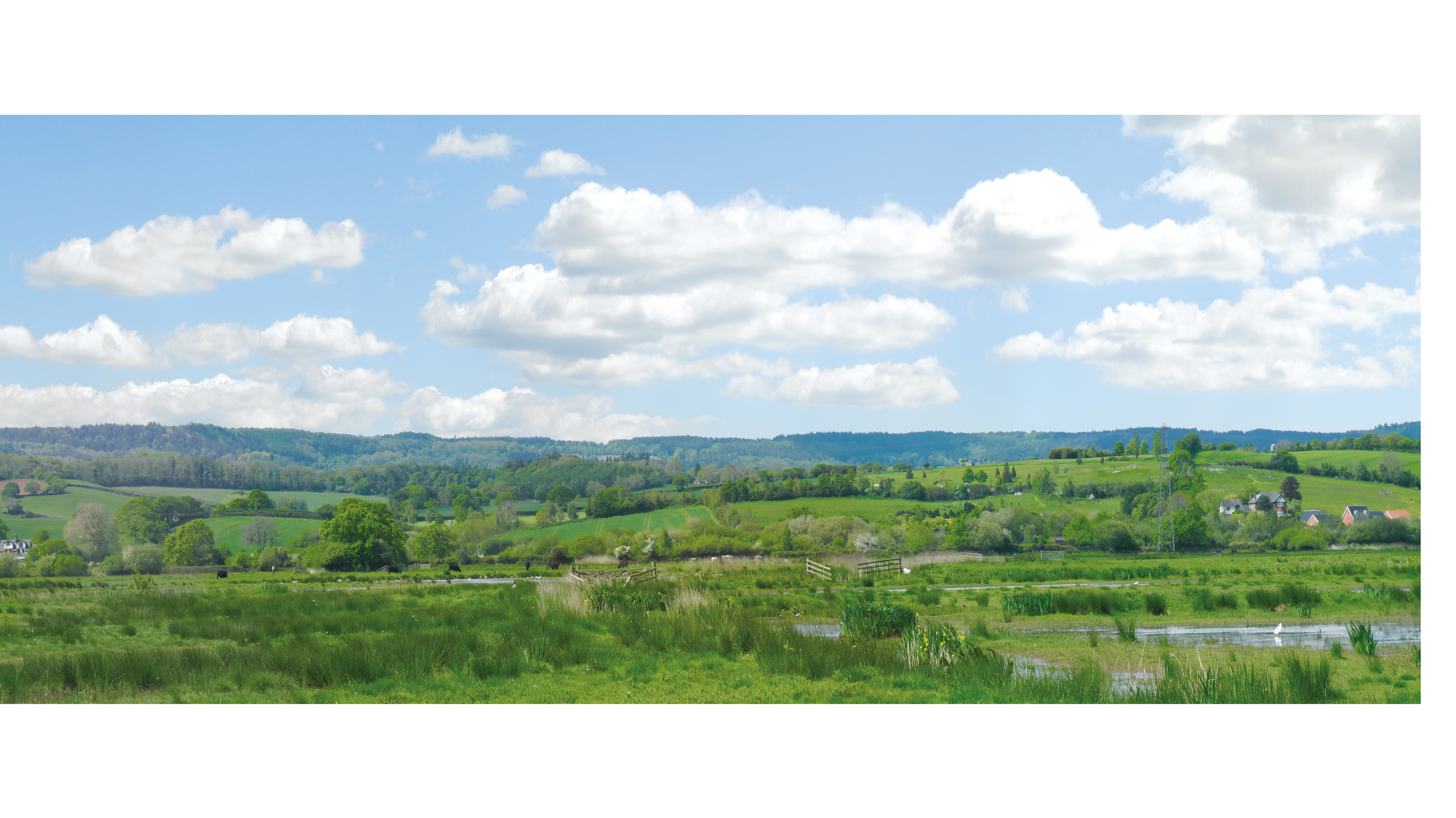 Peco SKP05 Anlagenhintergrund Landschaft