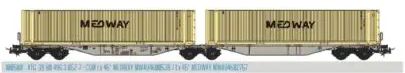 PT100500 VTG Containertragwagen Sggmrss 90 Ep.6