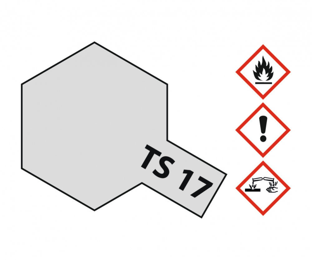 85017 TS17 - Spray alu (gl) 100ml