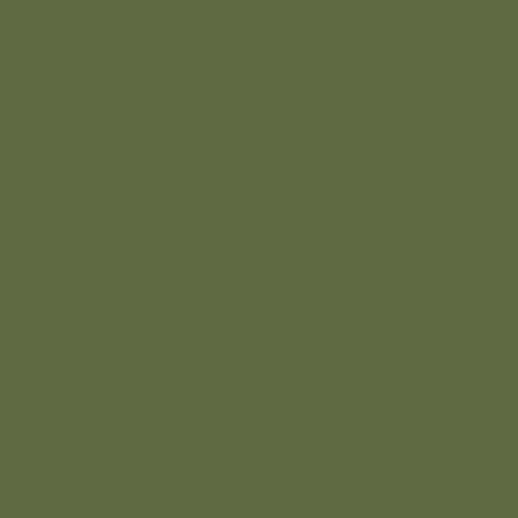 Vallejo 71006 Tarnfarbe: Hellgrün, 17 ml