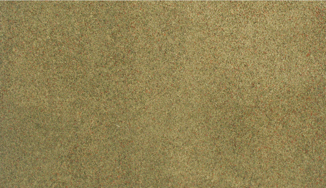 WRG5124 Grassmatte Frühling, 50 x 100