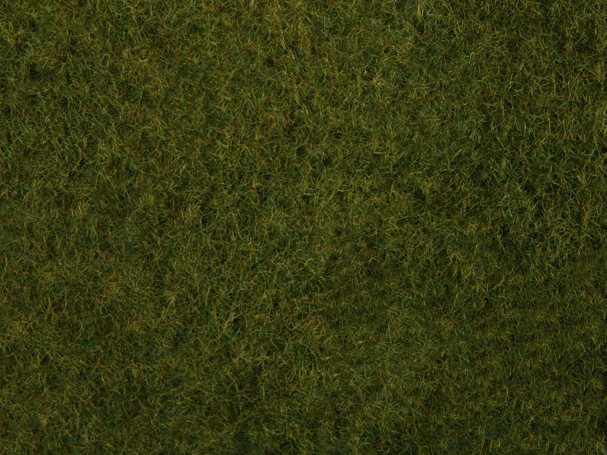 07282 Wildgras-Foliage, olivgrün