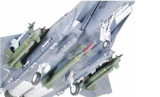 Tamiya 60312 F-15E Strike Eagle Bunker Buster