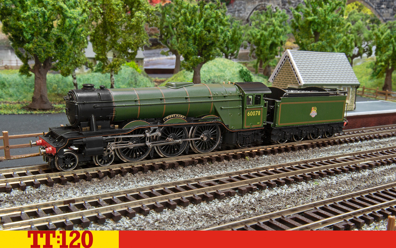TT3005M BR Dampflok Class A3 4-6-2 Era 4