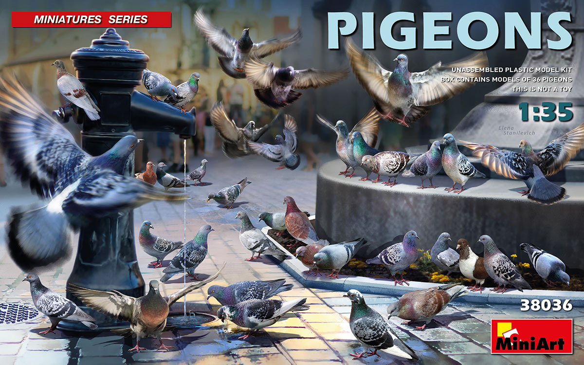 38036 Pigeons - Tauben