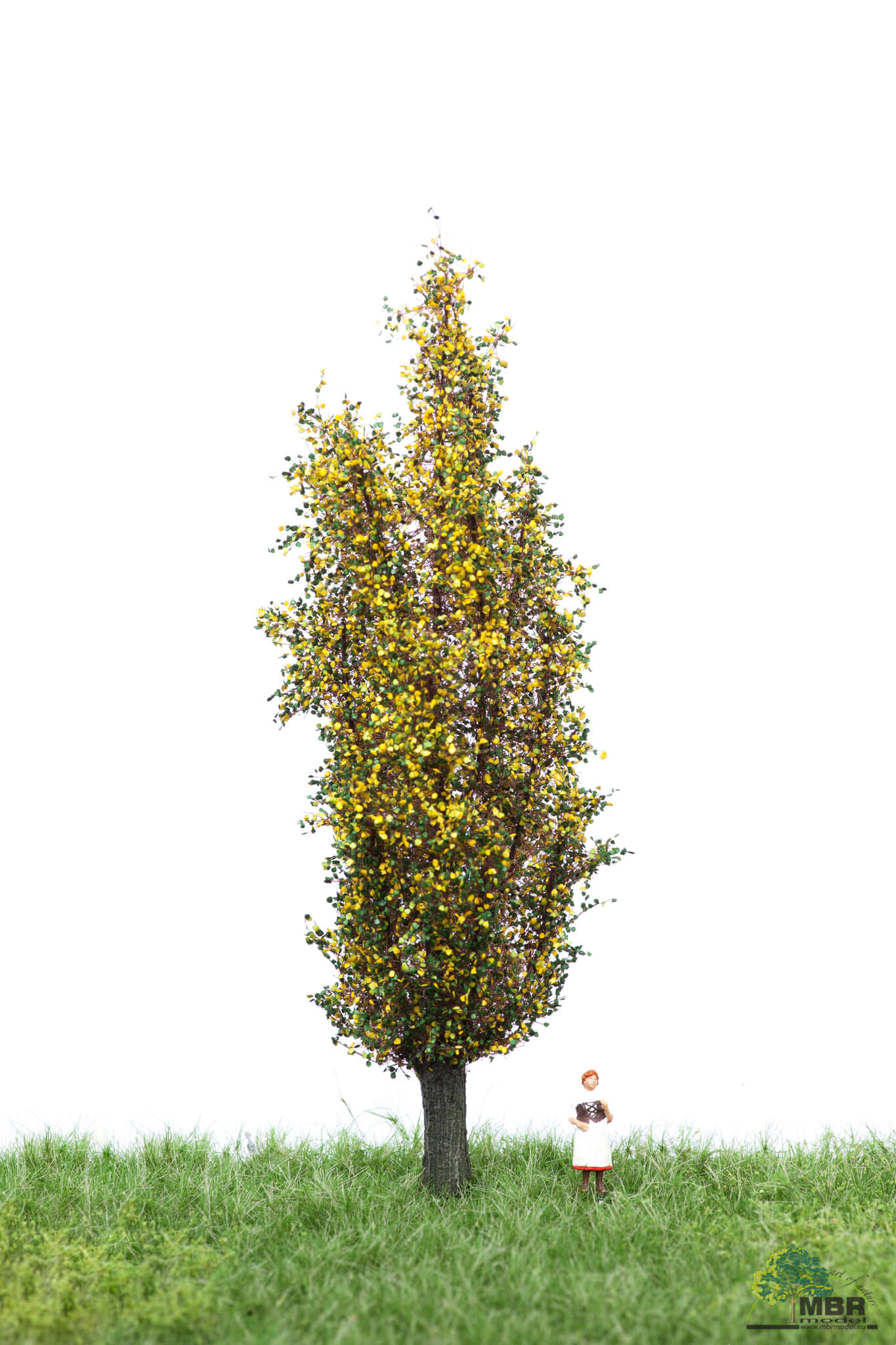 52-2207 Italienische Pappel 12-16cm