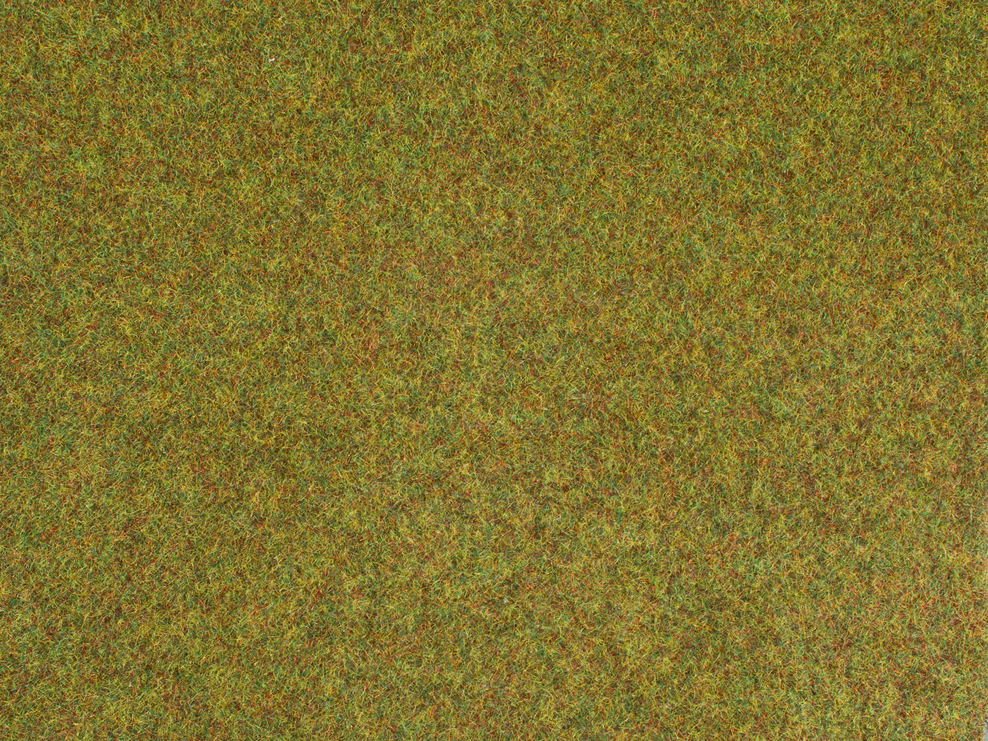 75213 Wiesenmatte hellgrün 75 x 100 cm