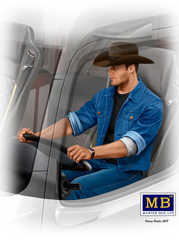 MB24044 Mike (Beach Boy) Barrington