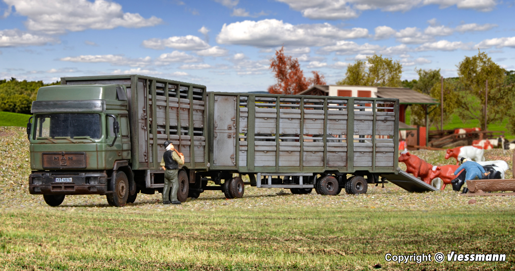 12248 MAN F90 HD Viehtransport-HZ