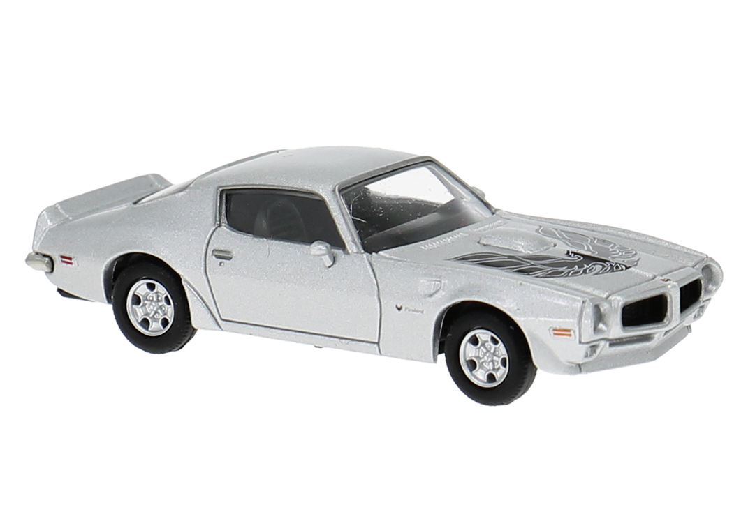 18076 Pontiac Firebird silber