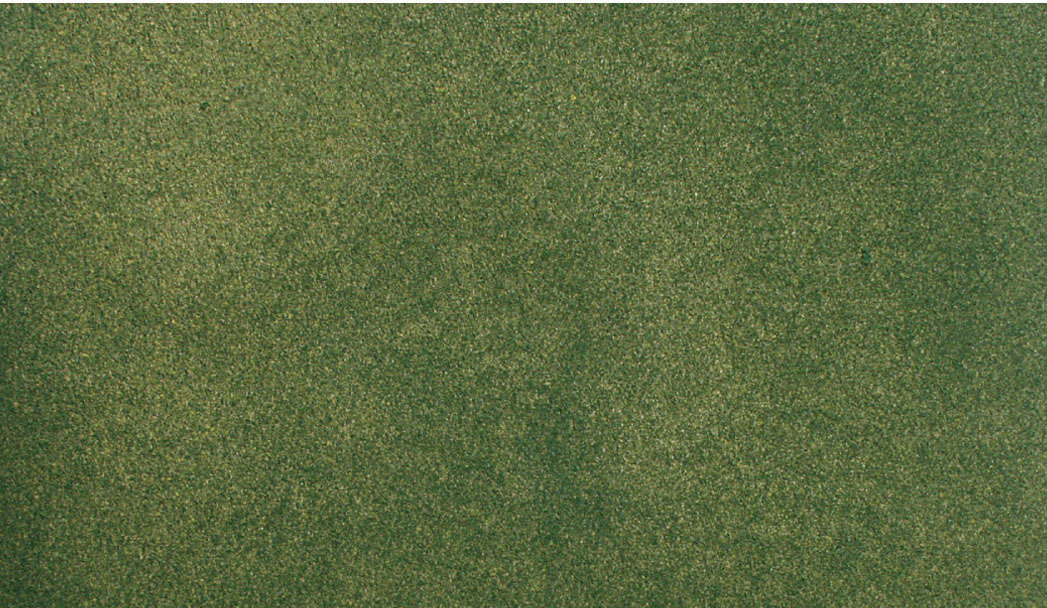 WRG5122 Grassmatte grün, 50 x 100