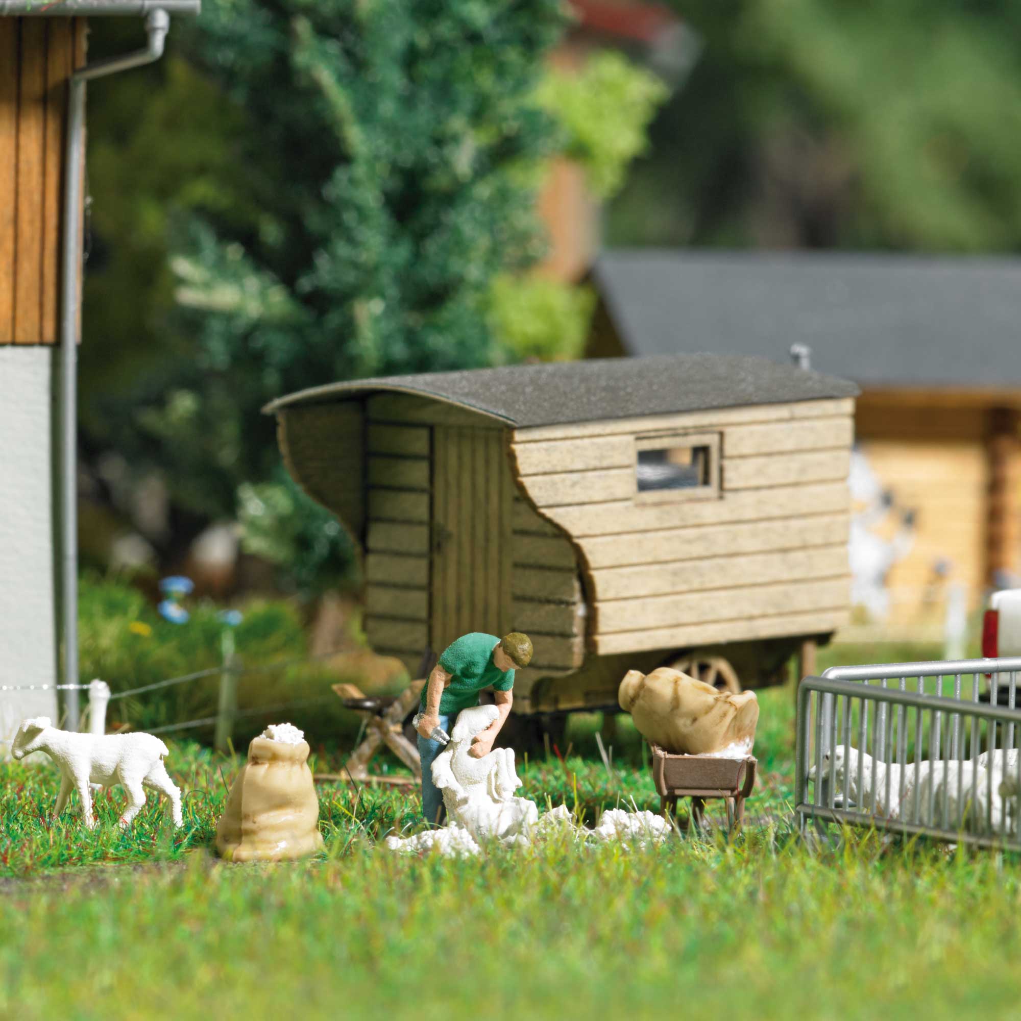 7933 Action-Set Schafschur