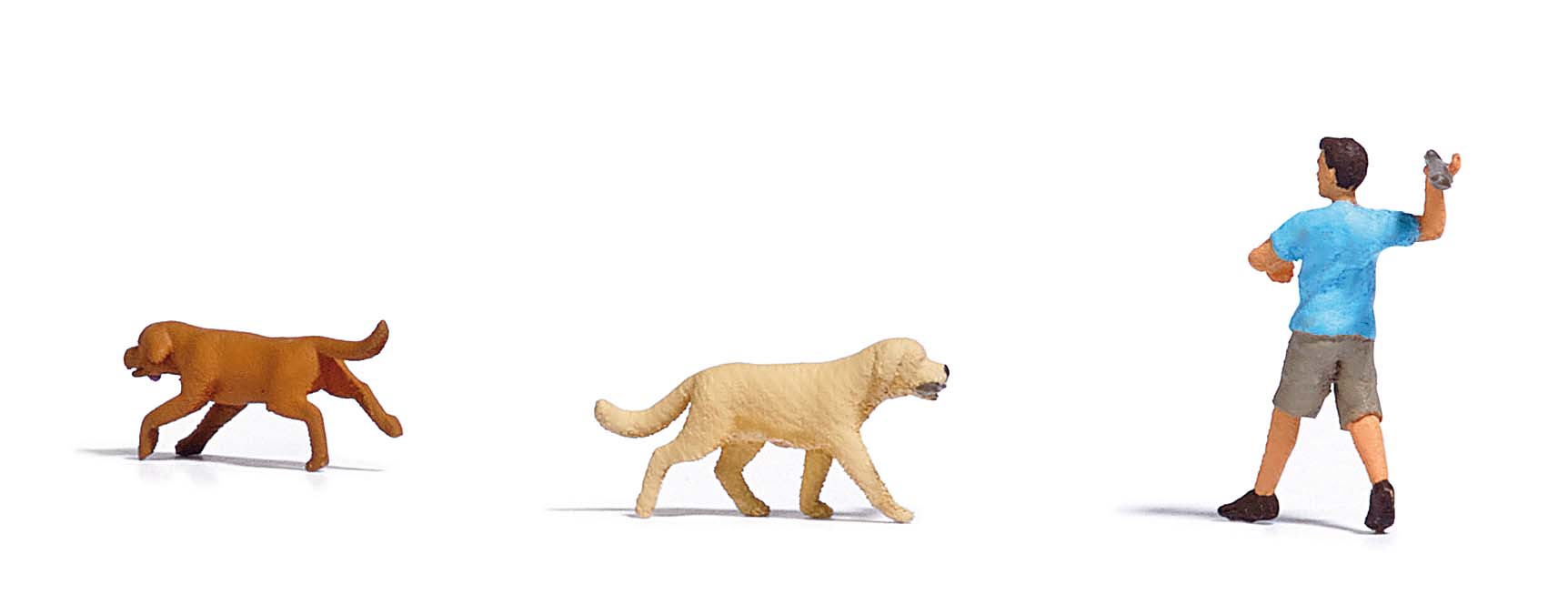 7896 Apportierspiel mit Hunden