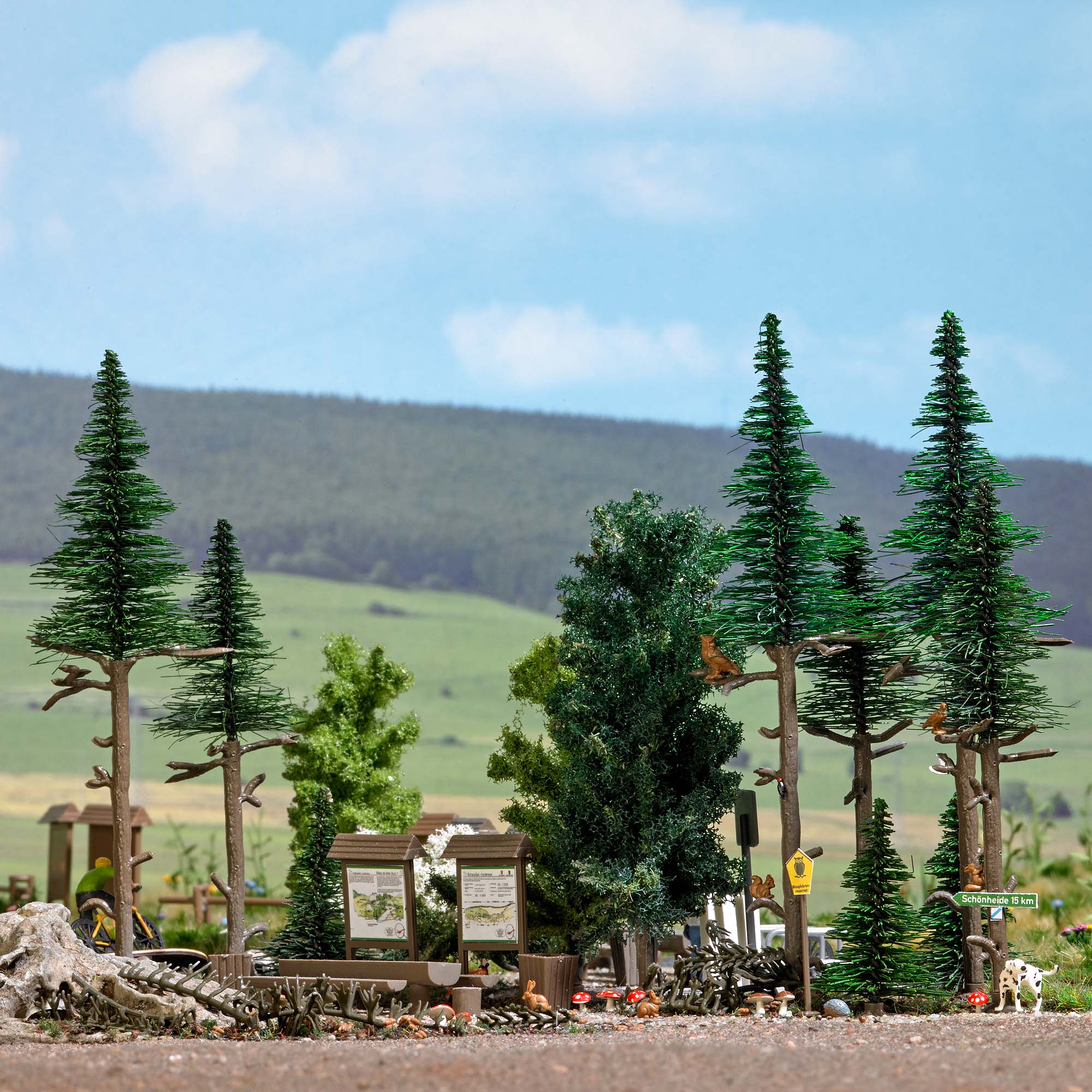 1856 Hochwald