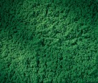 Auhagen 76670 Rollrasen 150x250 mm, dunkelgrün 