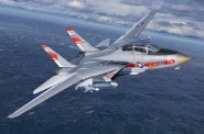 Revell 03782 Grumman F-14A Tomcat 
