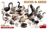 MiniArt 38114 Ducks & Geese - Enten & Gänse 