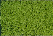 Heki 1600 Mikro-flor hellgrün 