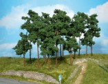 Heki 1954 5 Kiefern 20 cm 