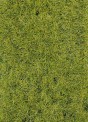 Heki 3376 Grasfaser Frühling 10 mm 
