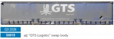 Sudexpress S6019 GTS Logistic 45' Swap Container 