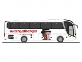 Rietze 74869 MAN Lion´s Coach´17 Wechselberger 
