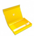 Feldherr 57417 Magnetbox gelb Half-Size 40 mm leer 