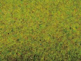 Noch 00280 Grasmatte Sommerwiese, 120 x 60 cm 