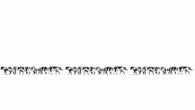 Noch 16164 XL-Set Kühe schwarz-weiß - 21 Figuren 