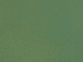 Noch 61194 Acrylfarbe, hellgrün 