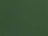 Noch 61195 Acrylfarbe, dunkelgrün 