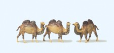 Preiser 79711 Kamele 
