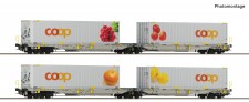 Roco 6600323 RailCare Set 2 Taschenwagen T2000 Ep.6 