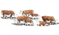 Woodland WA2144 N Hereford Cows 