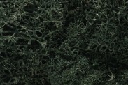 Woodland WL164 Islandmoos dunkelgrün 