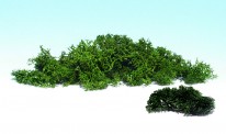 Woodland WL168 Islandmoos dunkelgrünmix, große Beutel 