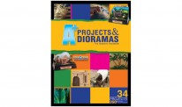 Woodland WSP4171 Bestnoten-Projeke und Dioramen Handbuch 