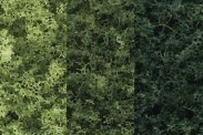 Woodland WTR1102 Baum-Set dunkelgrün 8-13 cm, 14 St. 