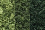 Woodland WTR1103 Baum-Set dunkelgrün 13-18 cm, 7 St. 