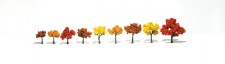 Woodland WTR1540 Laubbäume Herbstmischung 3-7 cm, 9 St.