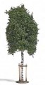 Busch 10625 Junge Birke 