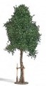 Busch 10626 Junge Platane 