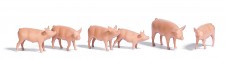 Busch 1172 Schweine, 6 St. 